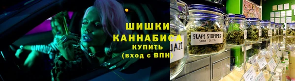 мдпв Краснослободск