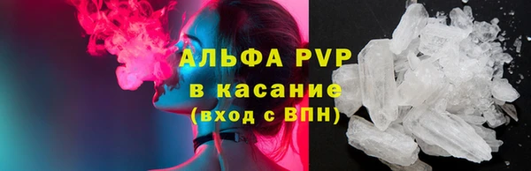 мдпв Краснослободск