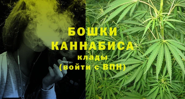мдпв Краснослободск